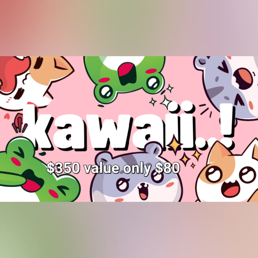 Womens Kawaii mystery box